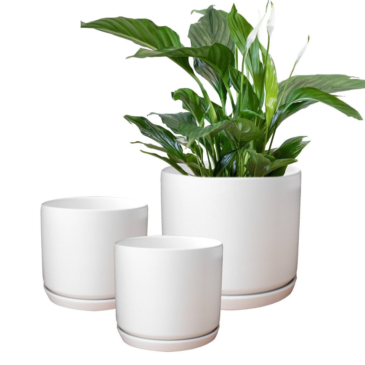 white planter pot Matt White Ceramic Plant Pots