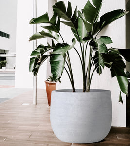 40cm indoor plant pot Olly & Rose Extra Large Plant Pot Patterned
