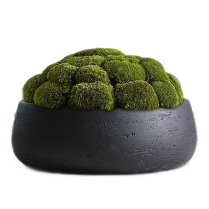 Copenhagen Large Planter Bowl - Matt Black Ceramic Cement Textured Shallow Plant Pot