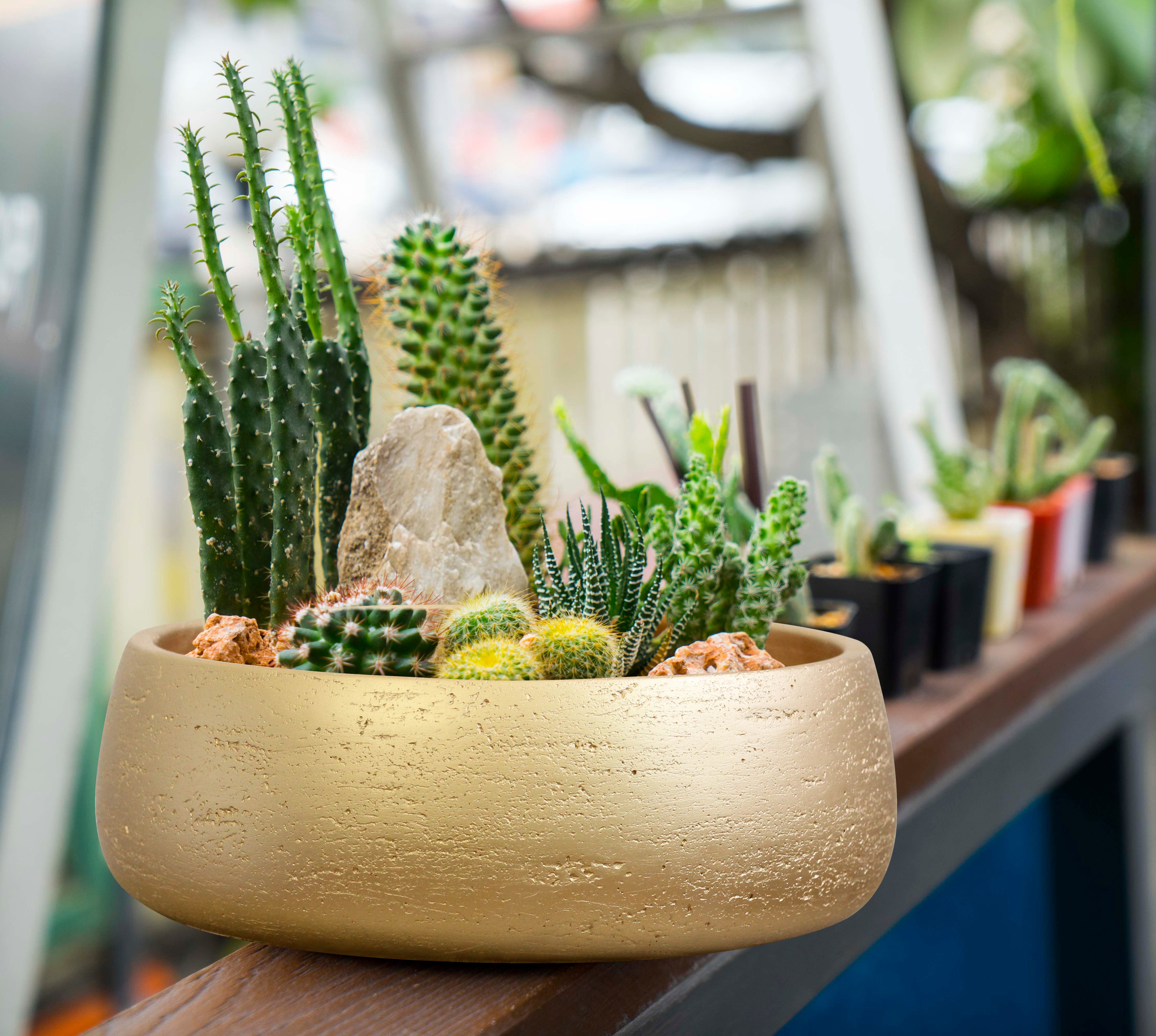 shallow plant pots for sale Copenhagen Large Ceramic Planter Bowl Shallow Plant Pot