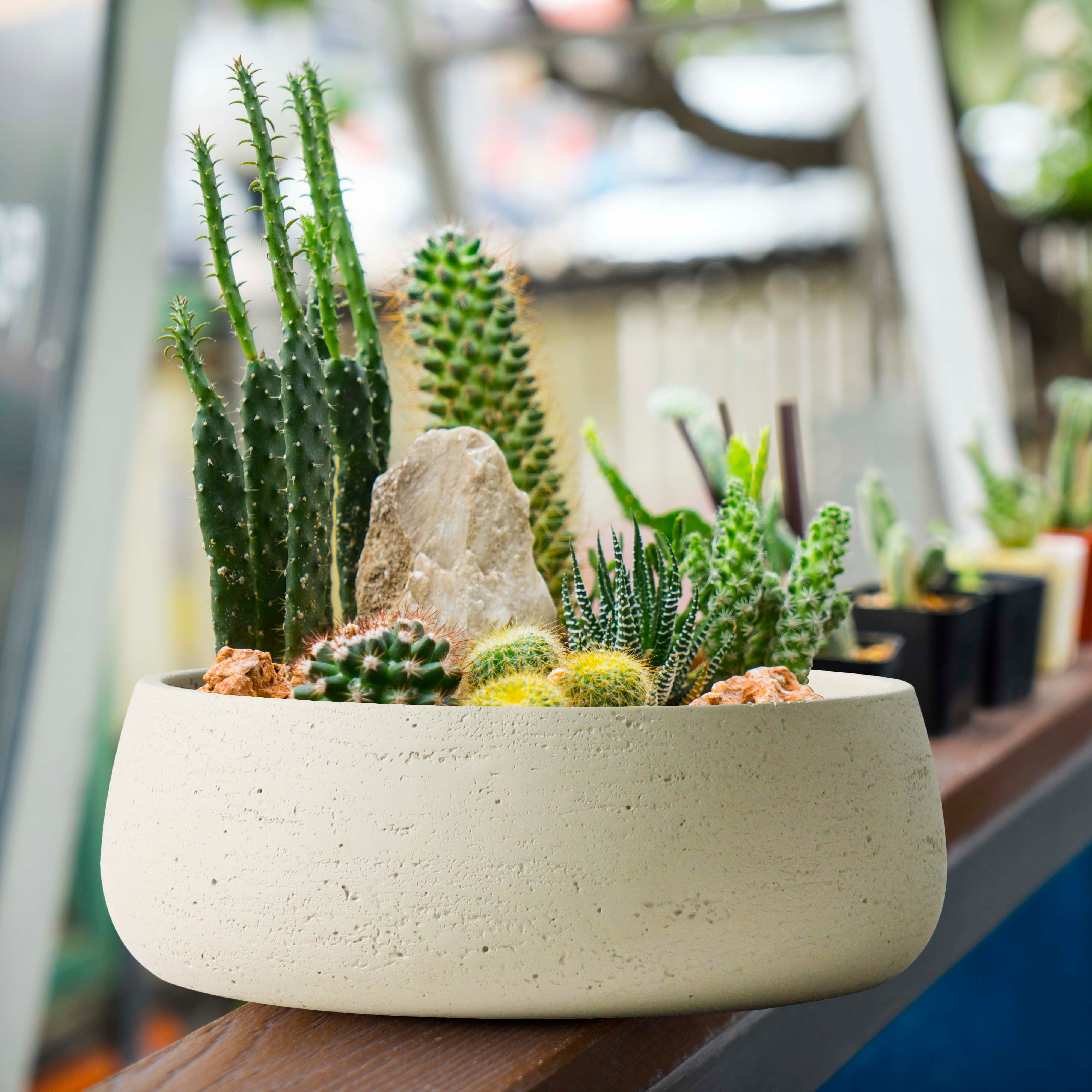 big shallow plant pots Copenhagen Large Planter Bowl