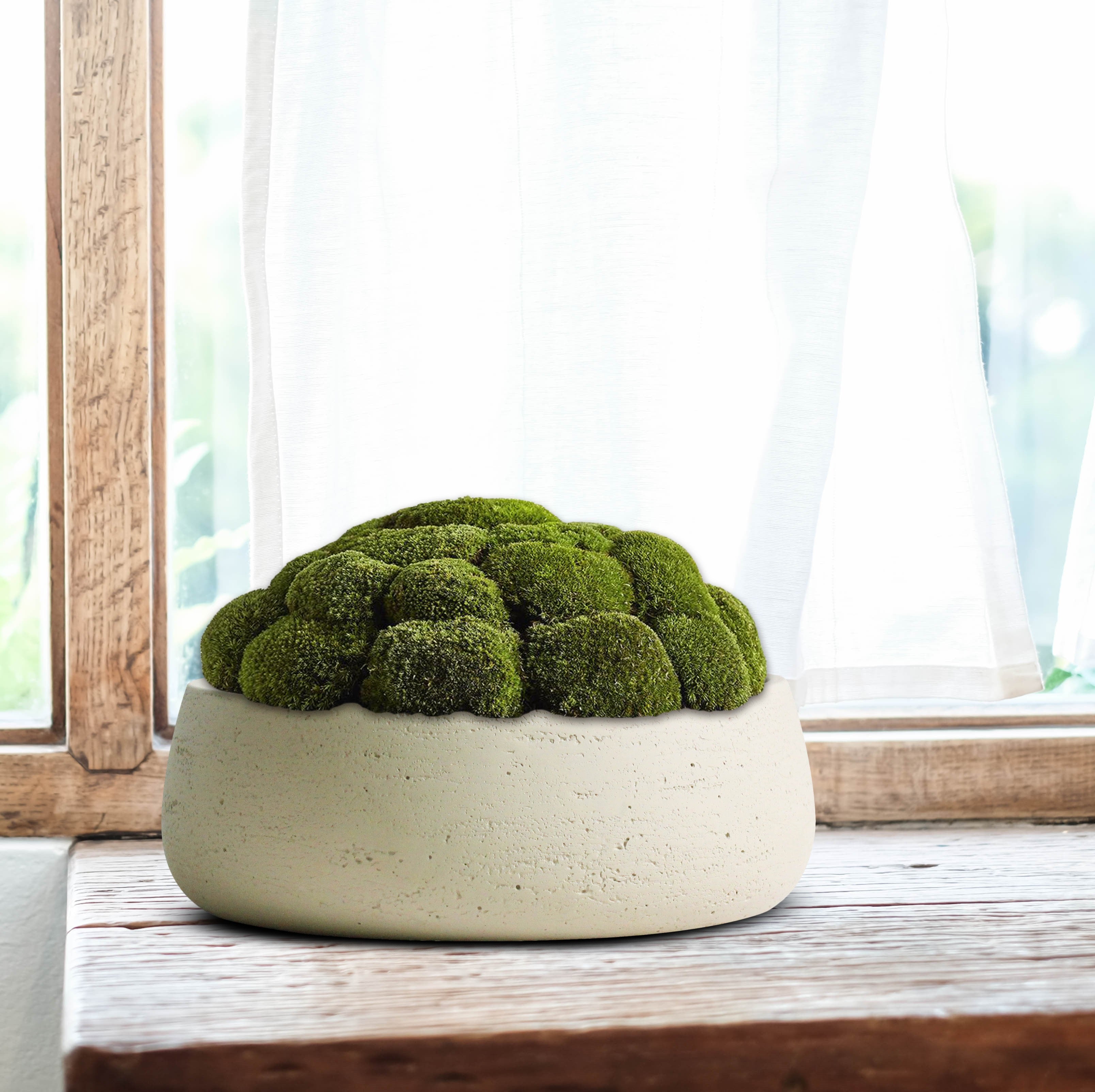 Copenhagen Large Planter Bowl - Off-White Cream Ceramic Cement Textured Shallow Plant Pot