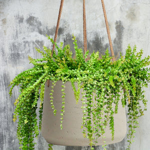 Copenhagen Copenhagen Off White Ceramic Hanging Plant Pot Set of 2 - Includes Hanging Rope