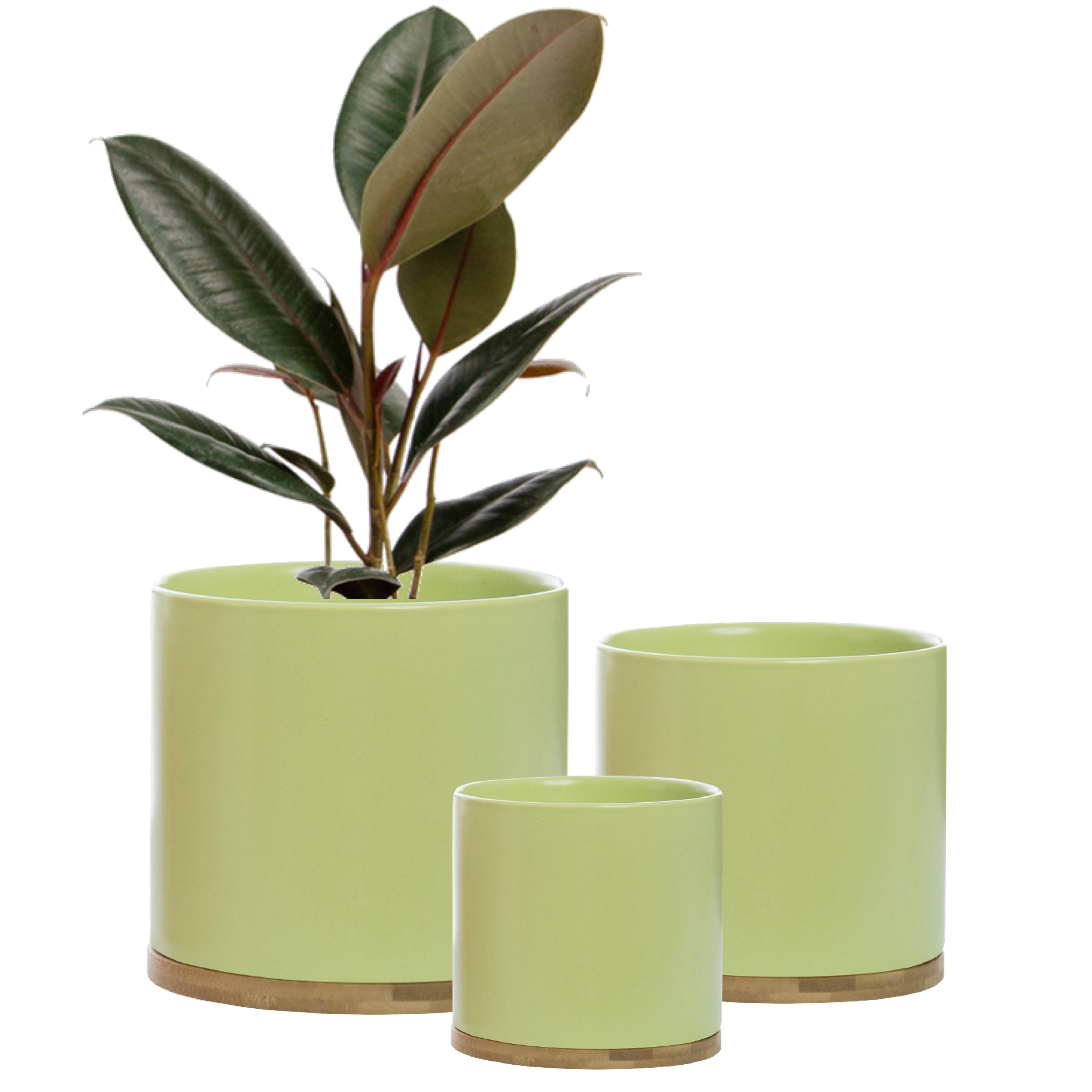 Chelsea Pastel Green Set 3 Ceramic Plant Pots with Bamboo Coasters