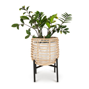 Olly & Rose Grote gouden plantenpot - metalen plantenpotten indoor plantenbak 28 cm (25 cm boven) grote bloempot (goud, 28 cm Olly & Rose Grote gouden plantenpot - metalen plantenpotten indoor plantenbak 28 cm (25 cm boven) grote bloempot (goud, 28 cm