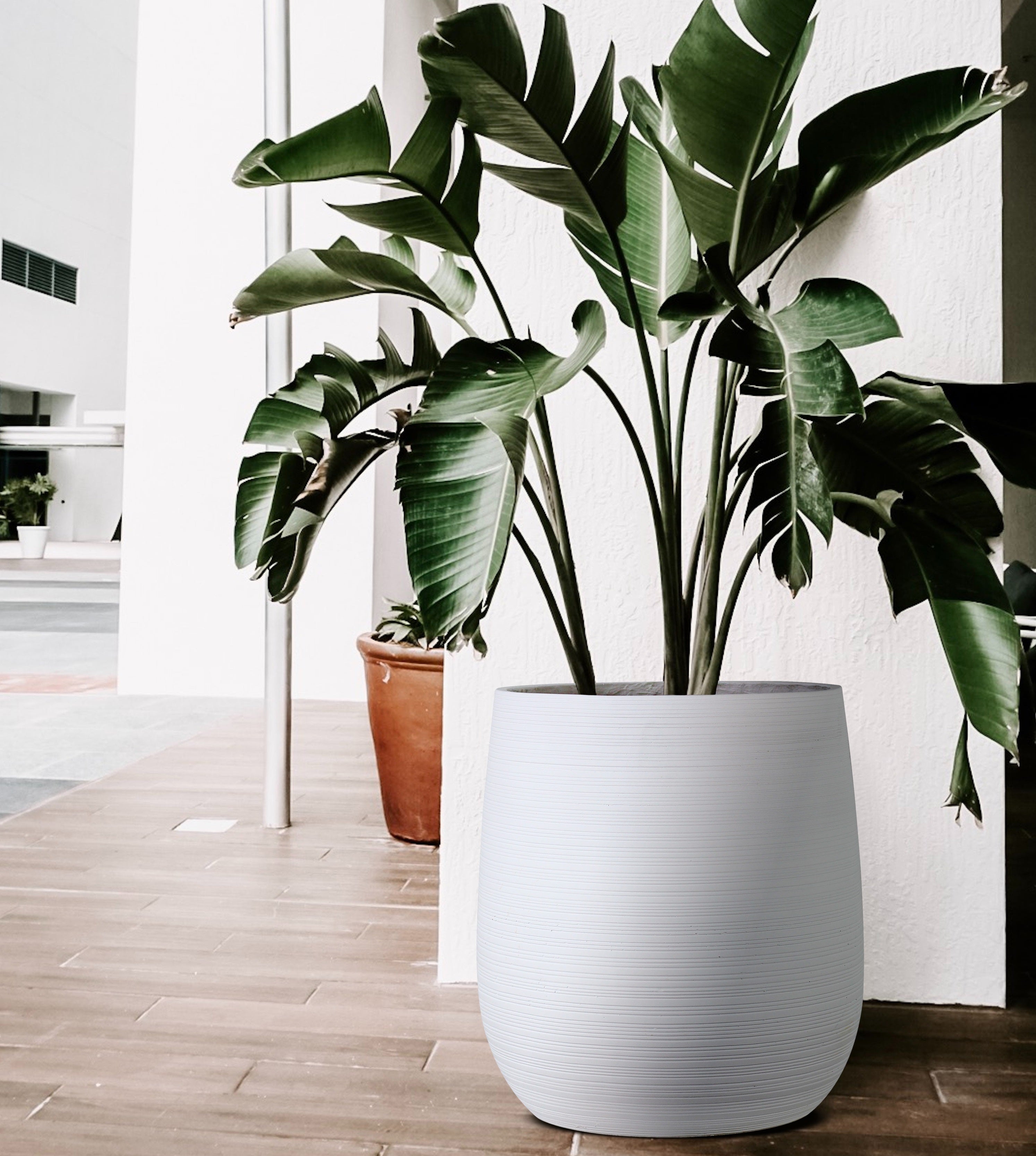 white pot plant large Olly & Rose Extra Large Plant Pot Patterned