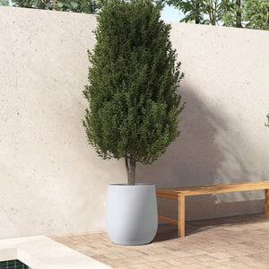 50cm wide plant pot Olly & Rose Extra Large Plant Pot Patterned