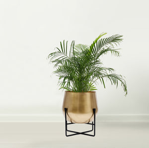 Marrakesh XL Gold Plant Stand with Plant Pot 28cm 11 Inch - Metal Plant Pots