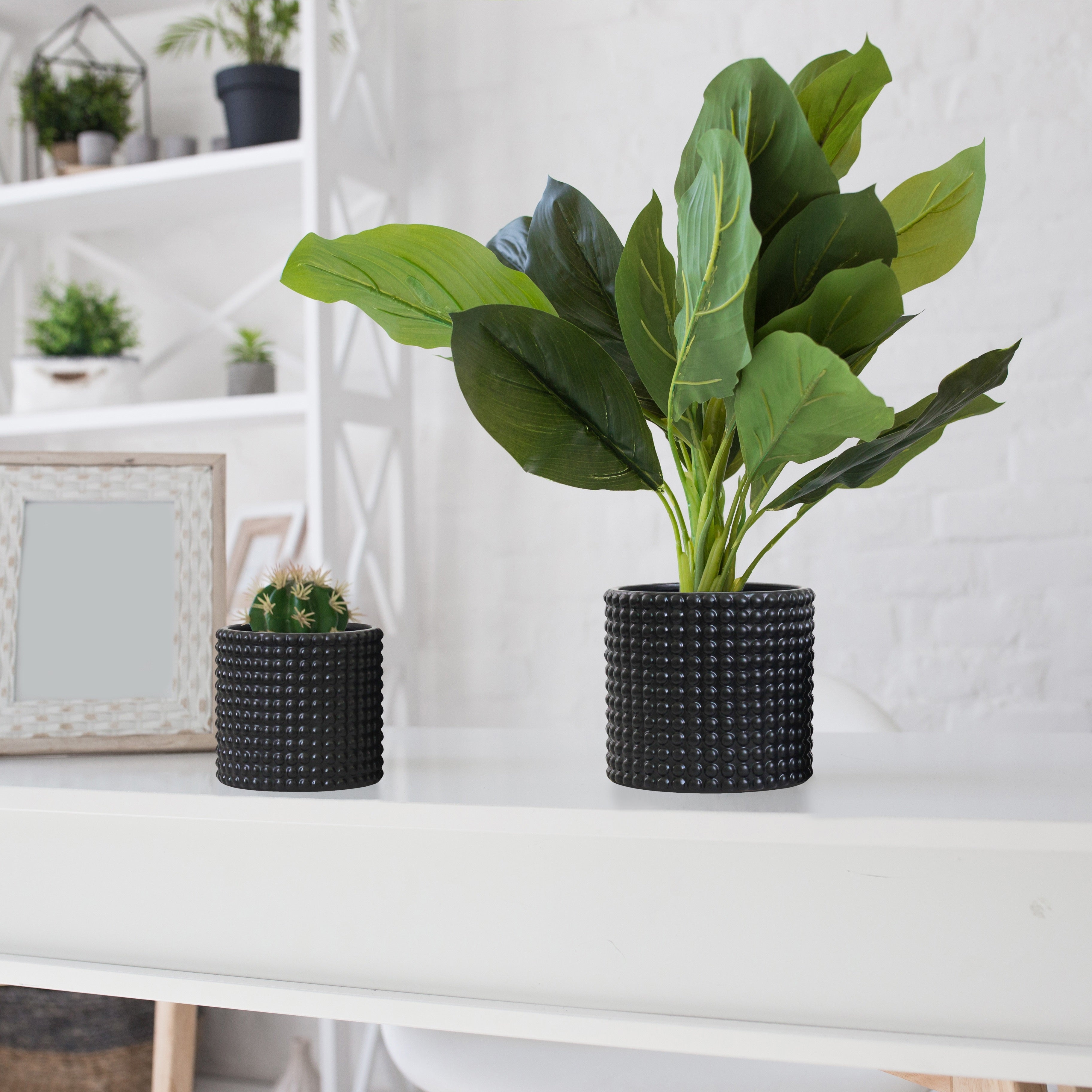 Milan Bubble Dot Pot Set - Matt Black