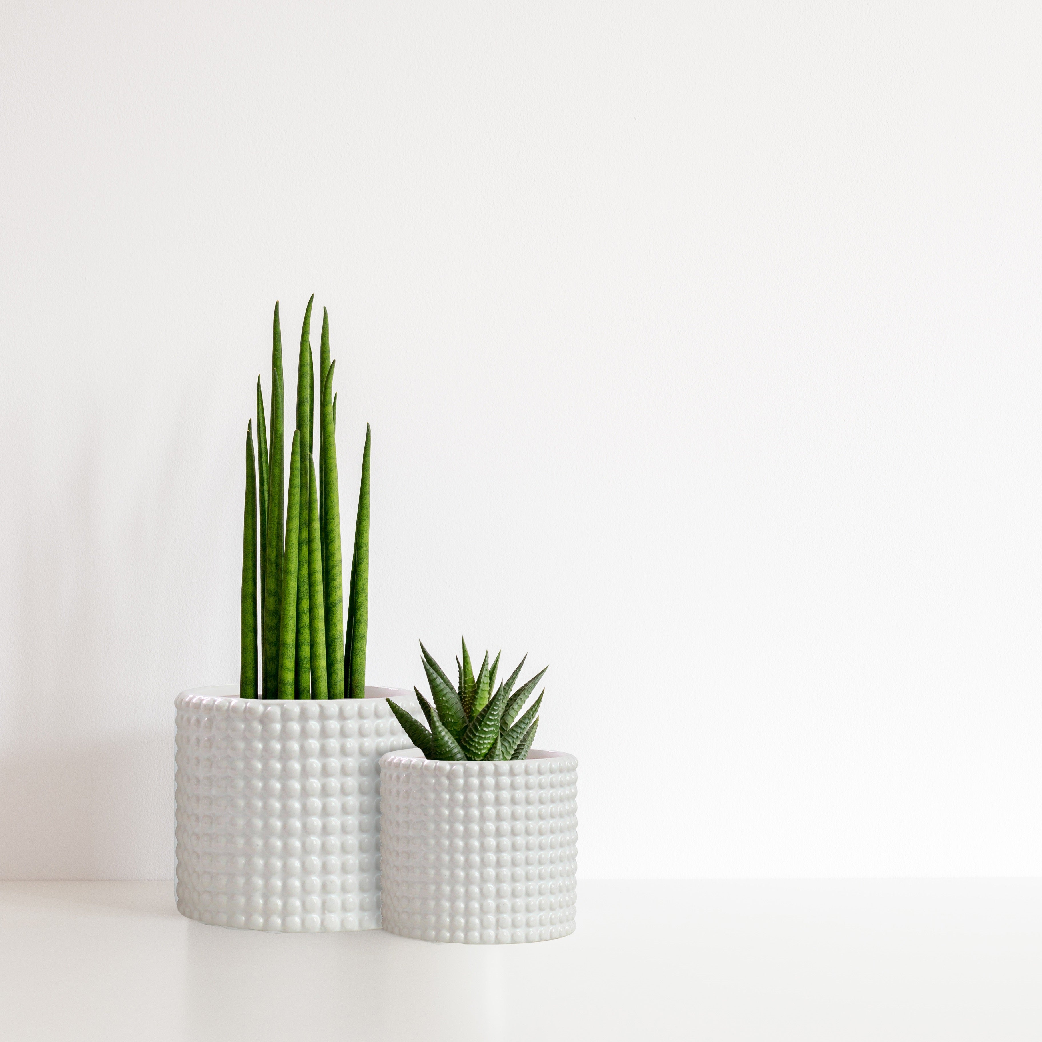 Milan Bubble Dot Pot Set - Matt White