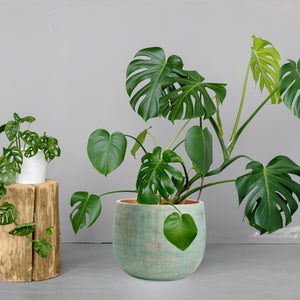 Bali Ceramic Green Gold Plant Pot - Large - 25cm