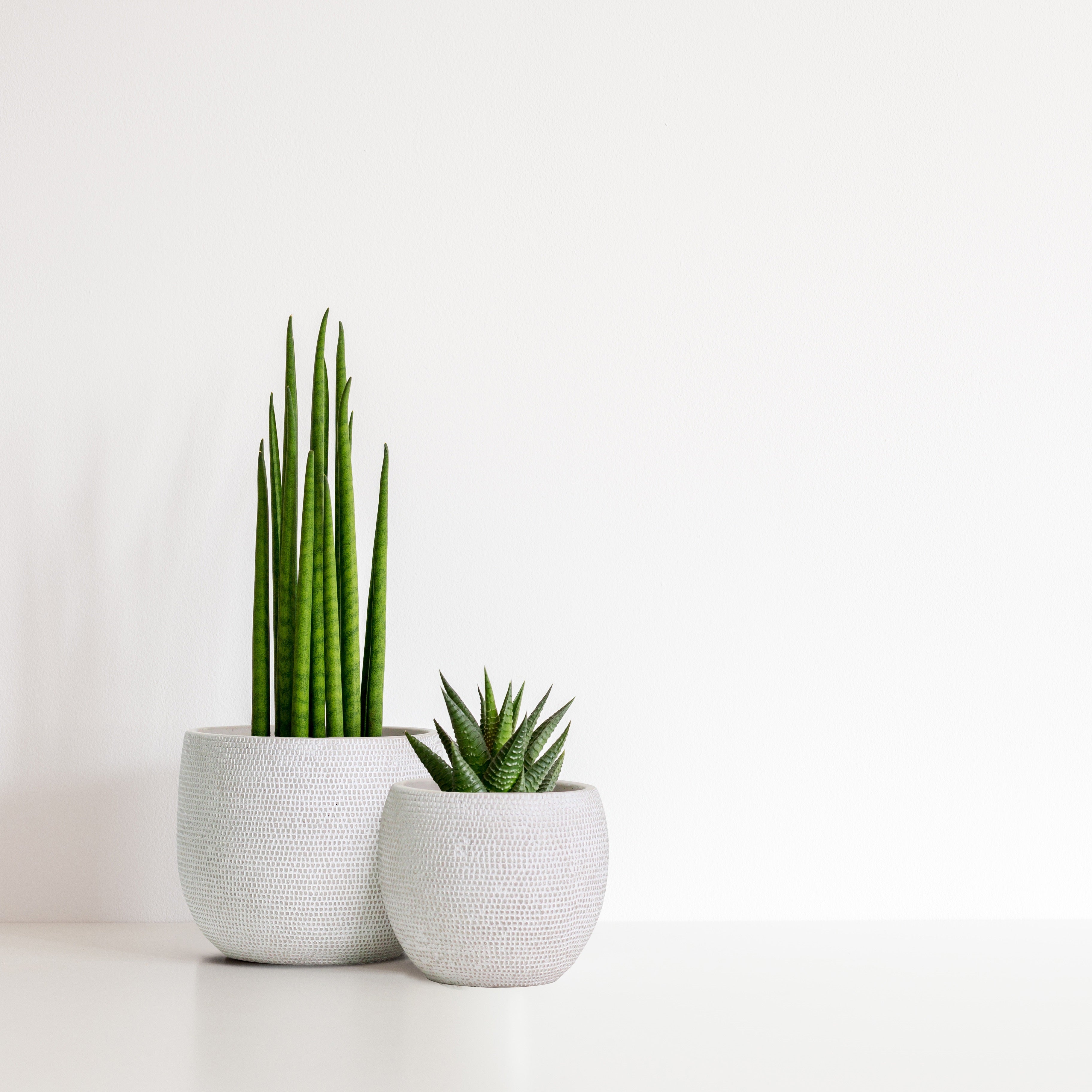 Barcelona Patterned Pot Set - Aged White