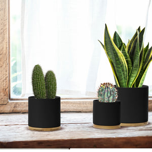 Chelsea Matt Black Set 3 Ceramic Plant Pots with Bamboo Coasters – Olly &  Rose