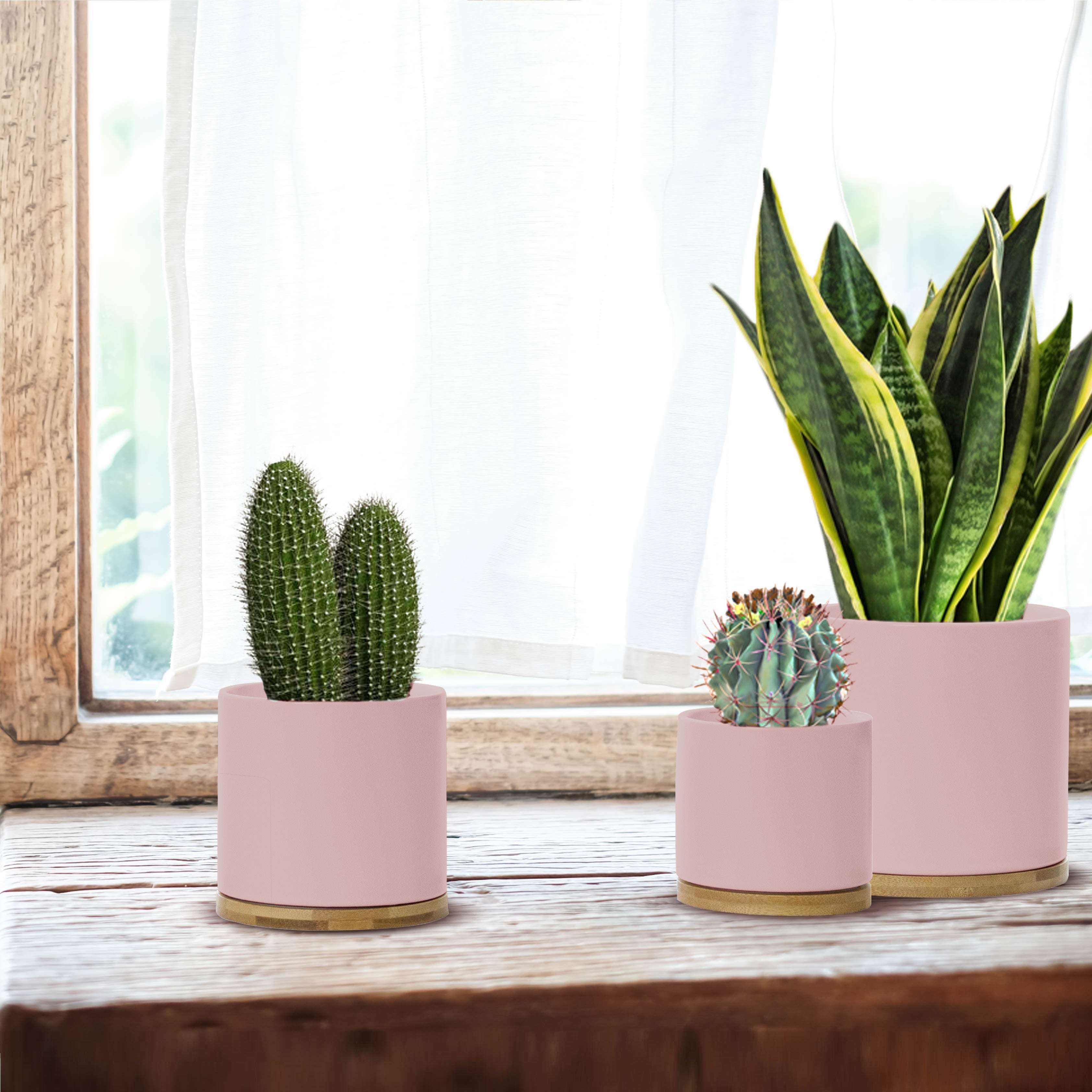 Pastel Pink Ceramic Plant Pots with Bamboo Saucers - Set 3