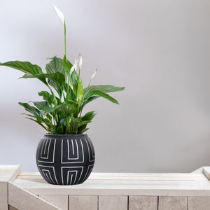 Nile Line Pattern Plant Pot - Black