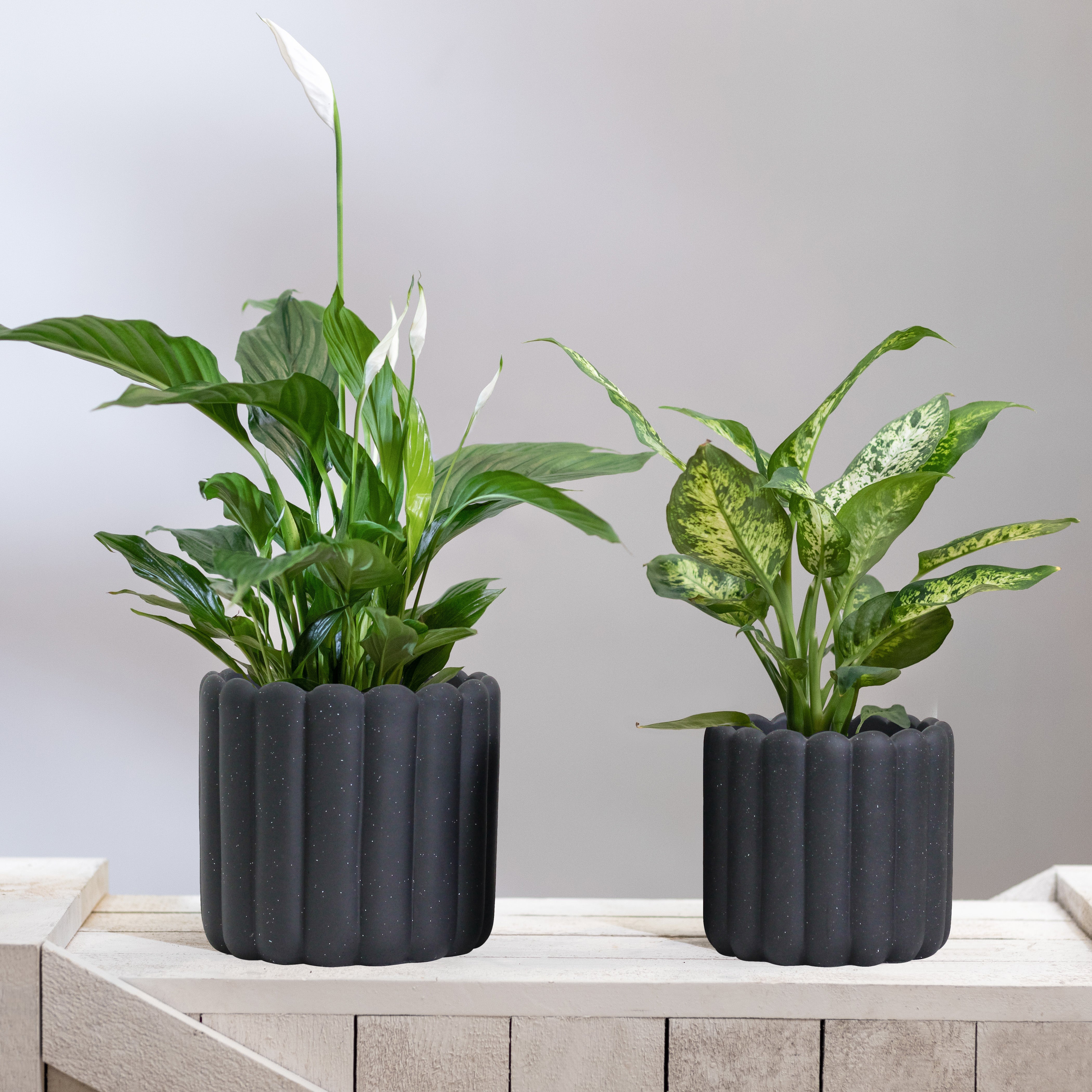 Ios Vertical Striped Plant Pot Set - Charcoal Textured