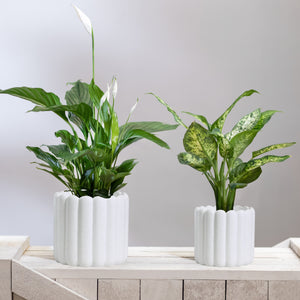 Ios Vertical Striped Plant Pot Set - White Textured