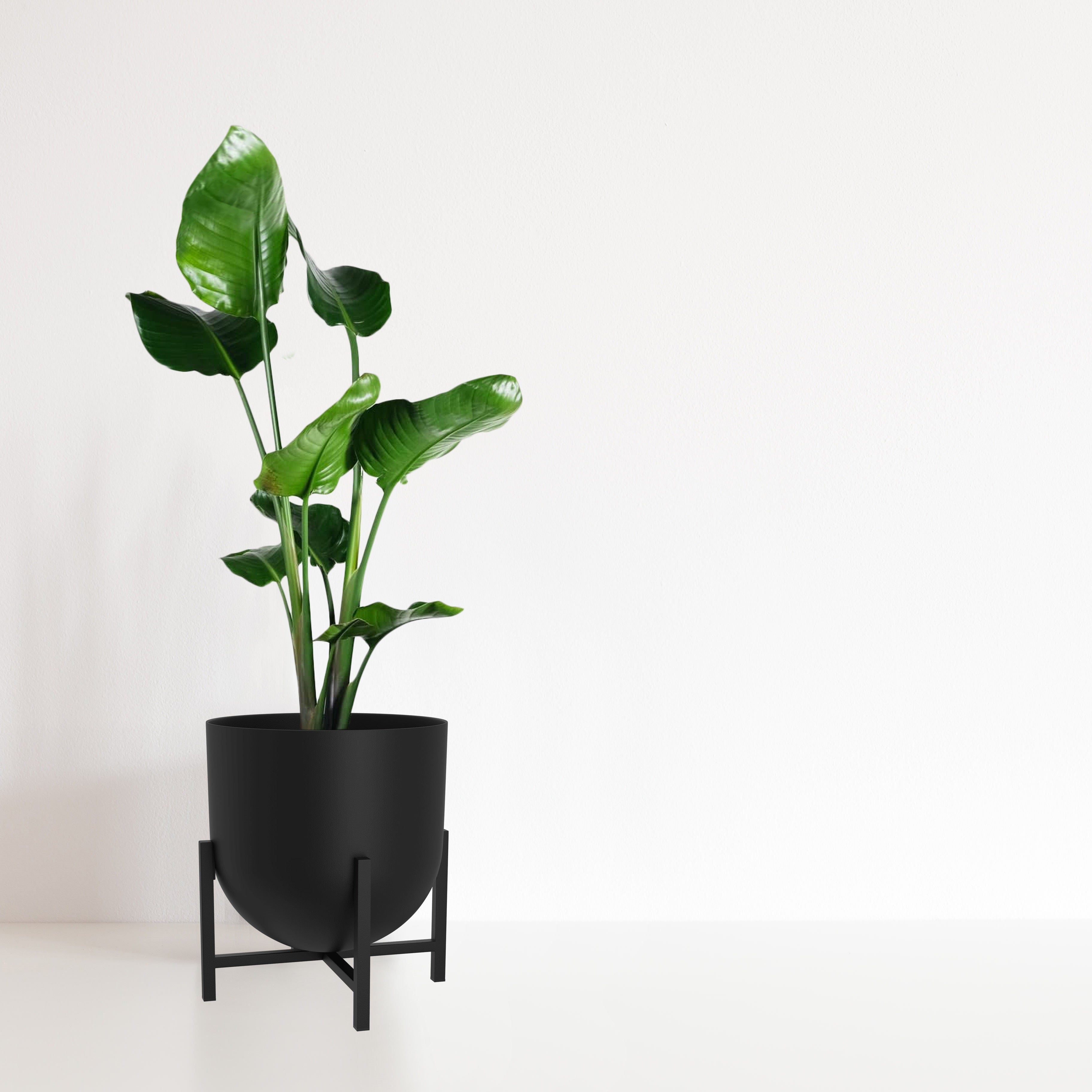 plant pot 22cm Lyon Black Plant Pot with Plant Stand