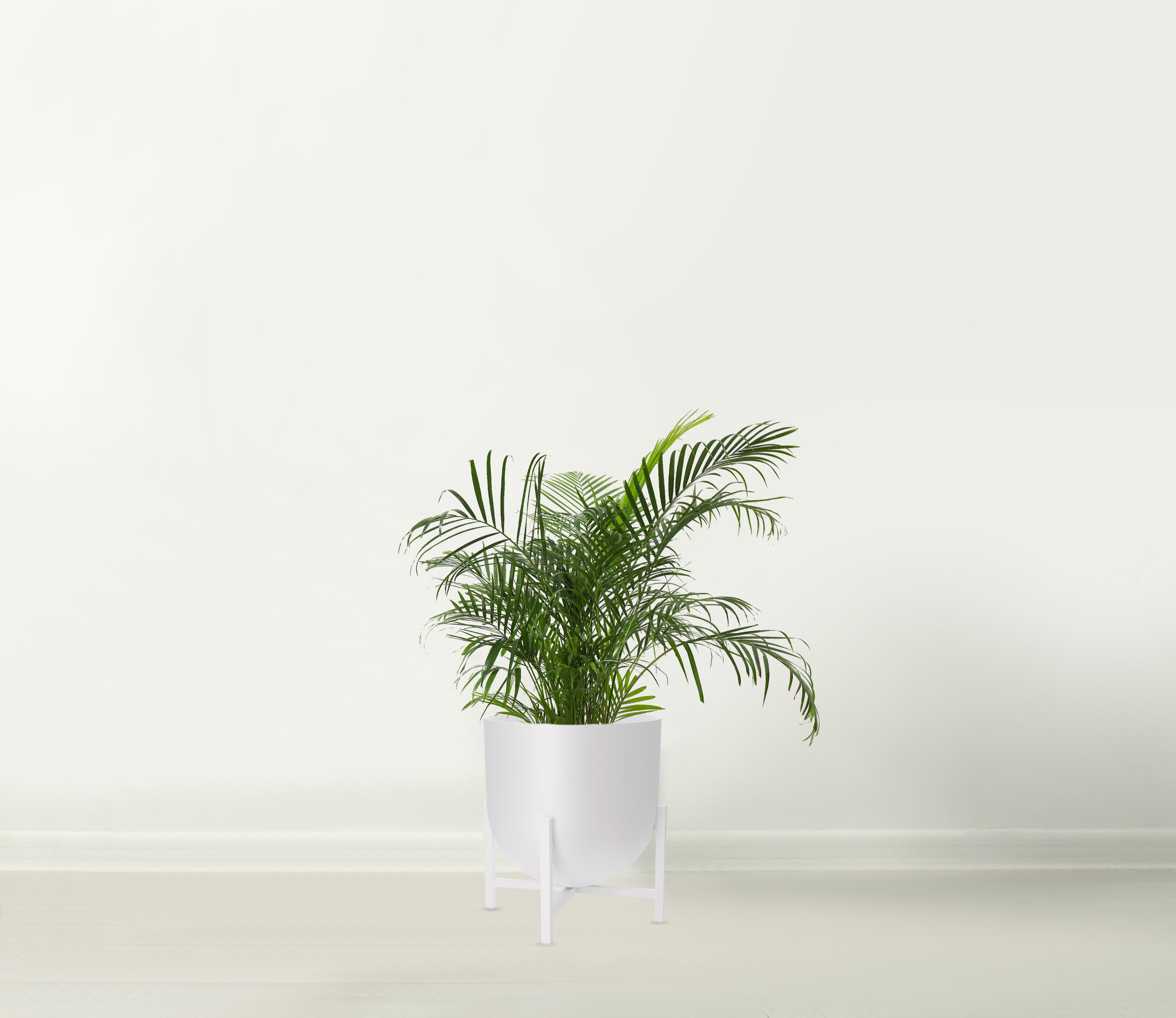 Lyon White Plant Pot with Plant Stand - Metal Plant Pots Indoor Planter 22cm