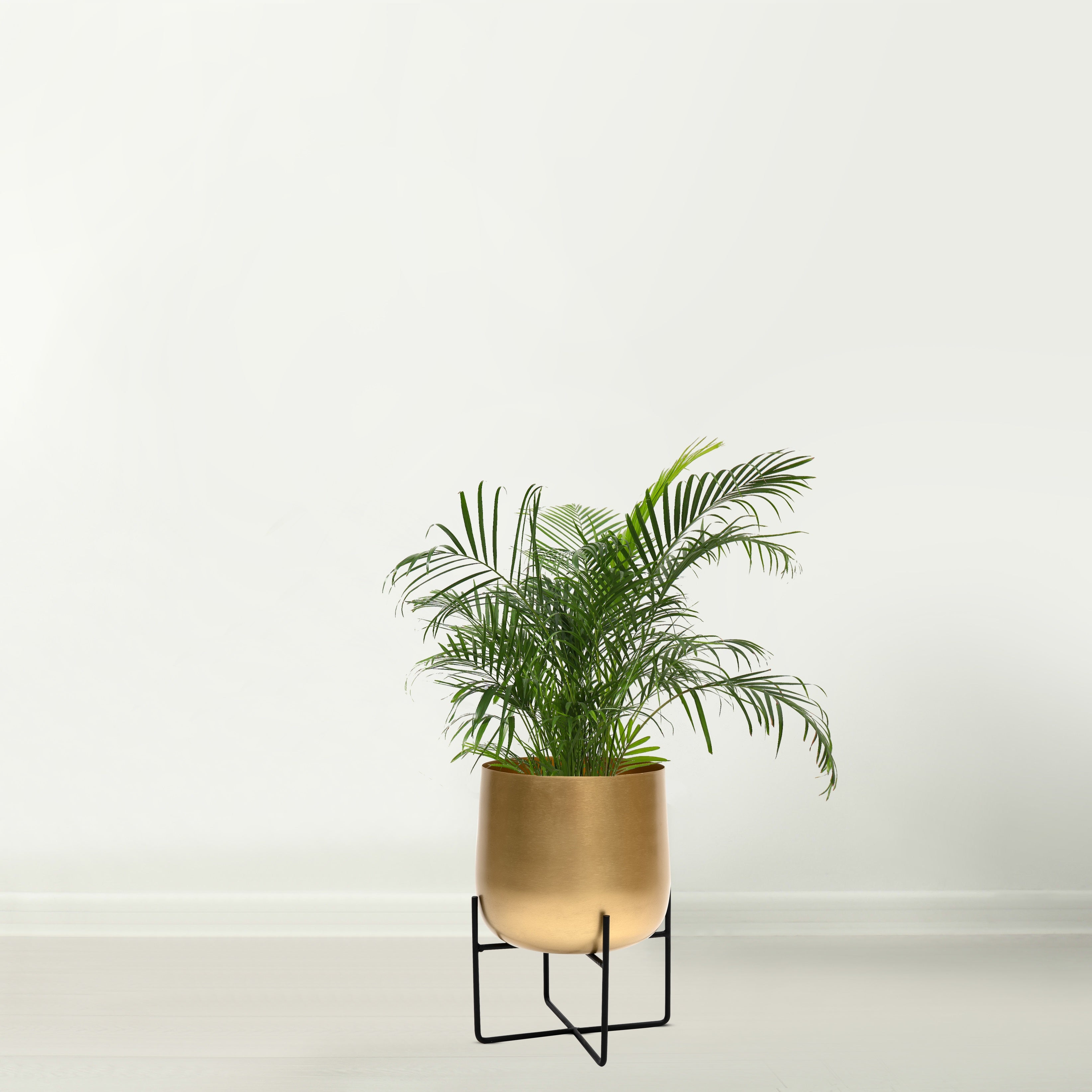 gold indoor plant stand Marrakesh Gold Plant Stand with Plant Pot