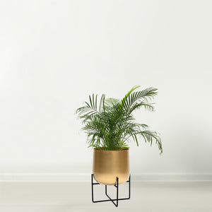 Marrakesh Gold Plant Stand with Plant Pot - Metal Plant Pots Indoor Planter Large