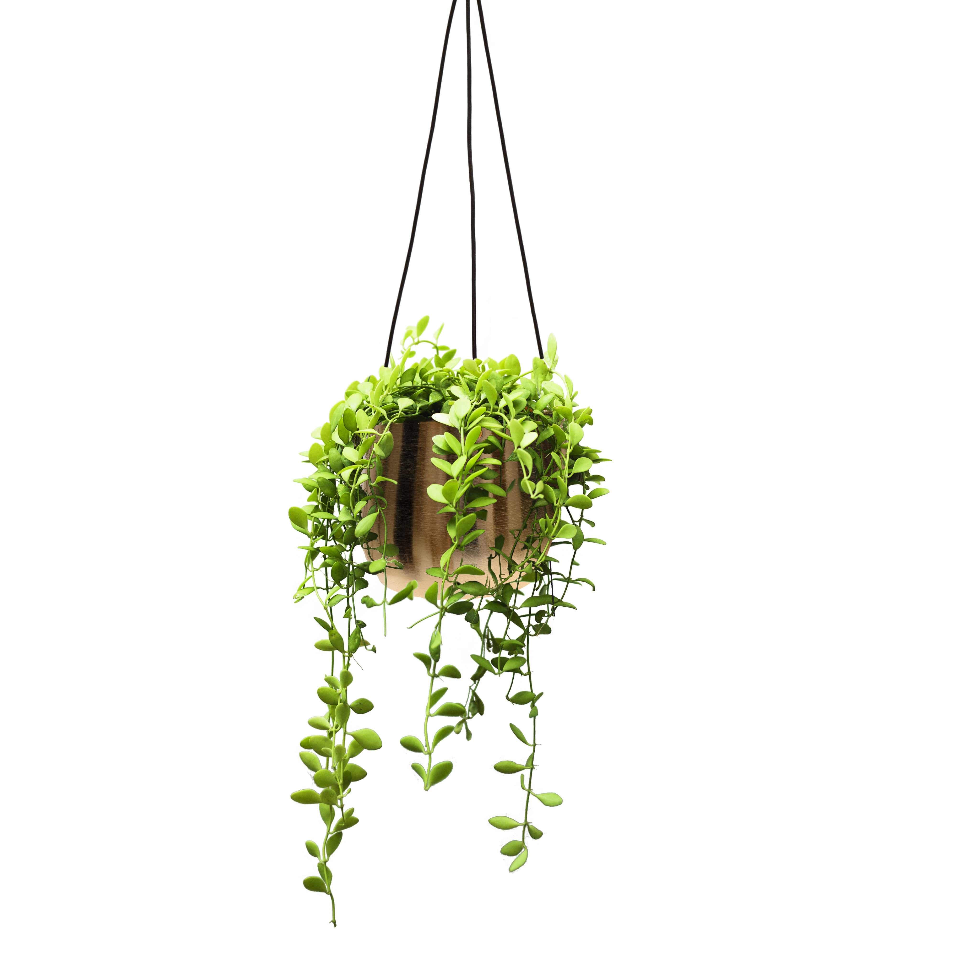 Marrakesh Gold Hanging Pot Set 2 - 14cm