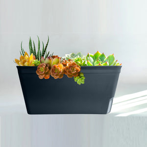 Lazy Planters - San Marino Matt Black Planter Selfwatering Plastic (rectangle) - Set 3