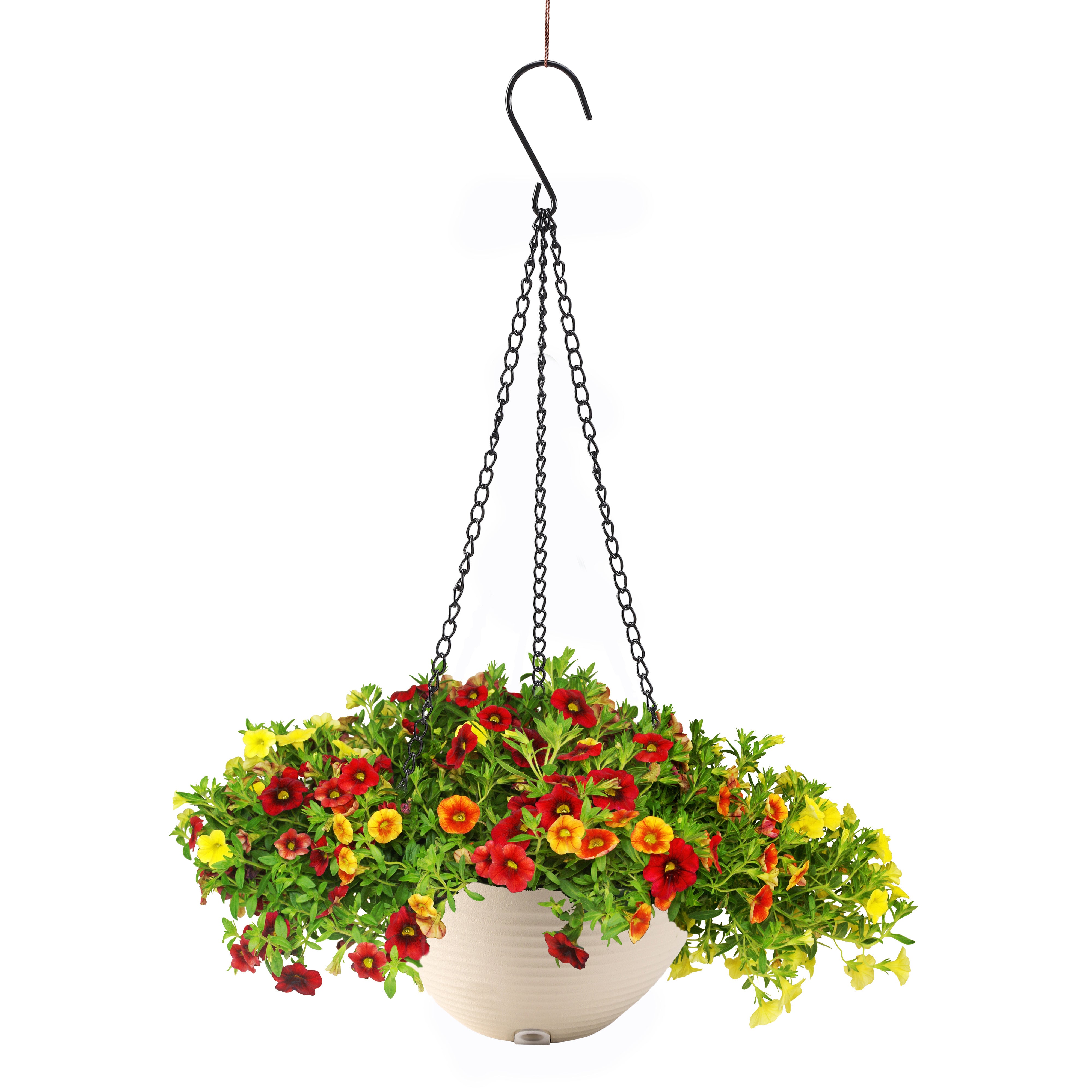 San Marino Hanging Pots 2x24cm Ivory