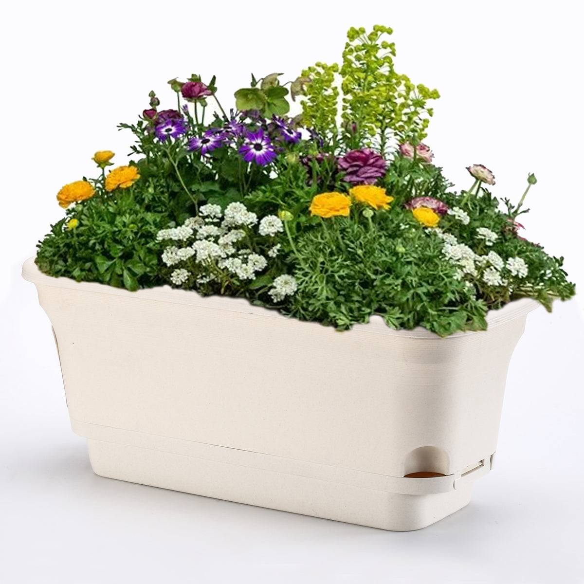 Lazy planters - San Marino Self Watering Planter 40cm Cream – Olly & Rose