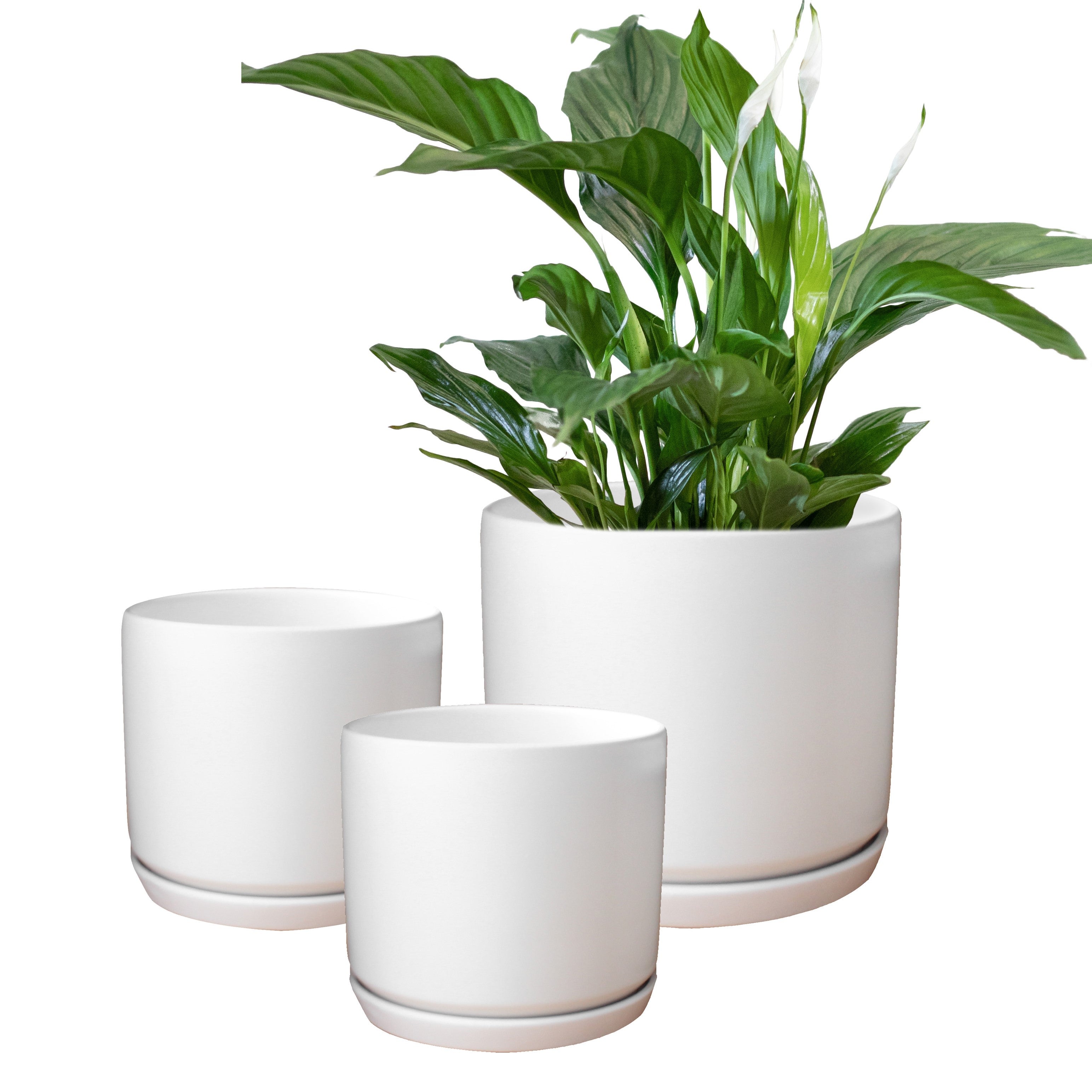 ceramic white pot plant Matt White Ceramic Plant Pots