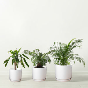 Olly & Rose Set 3 Ceramic Plant Pots with Bamboo Coasters Indoor Planters  White Pot Ser Ceramic Flower Pots Containers Outdoor Large, Medium, Small