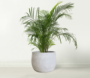 Barcelona Ceramic White Grey Plant Pot - Large - 25cm