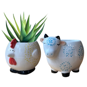 Chicken & Cow - Plant Pots - Set 2