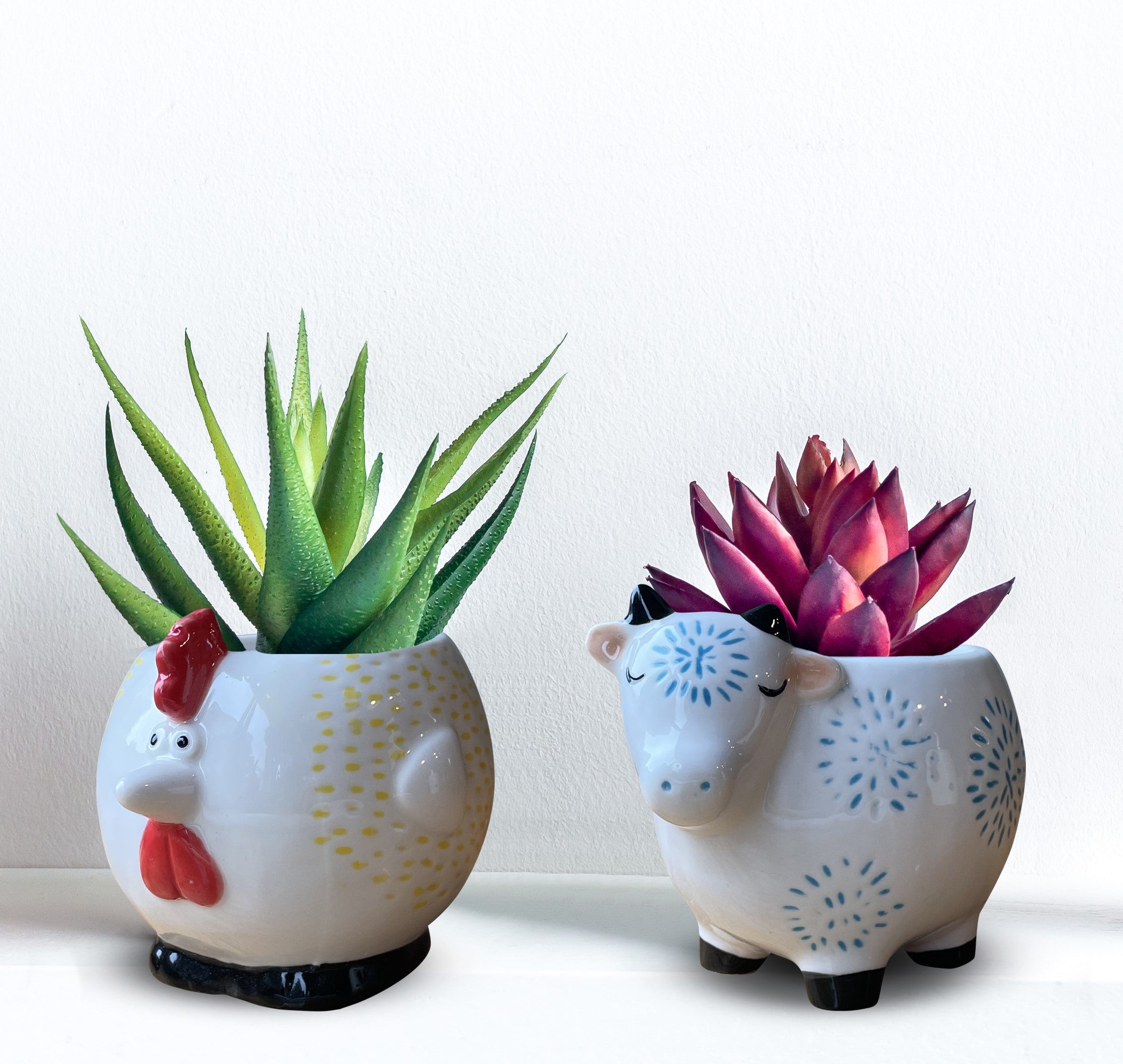 Chicken & Cow - Plant Pots - Set 2