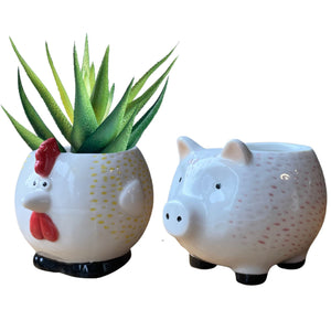 Chicken & Pig - Plant Pots - Set 2