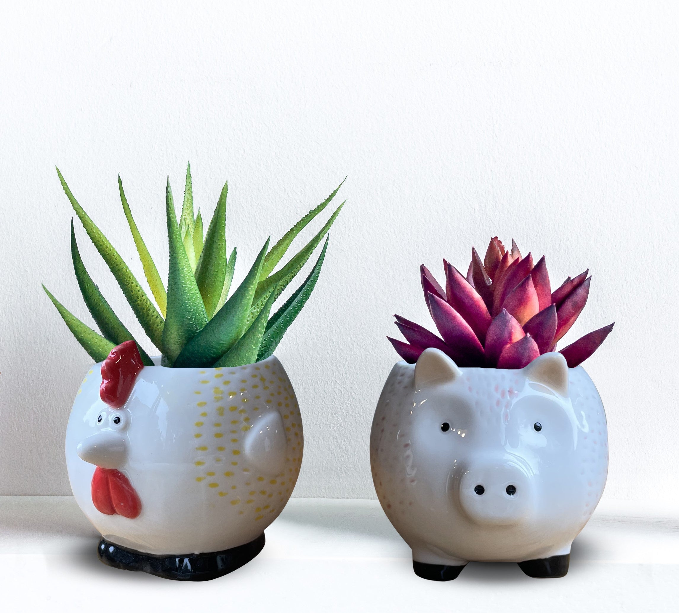 Chicken & Pig - Plant Pots - Set 2