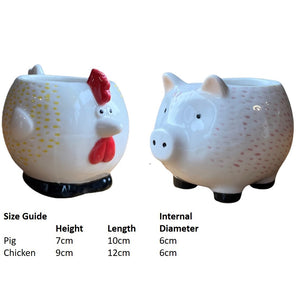 Chicken & Pig - Plant Pots - Set 2