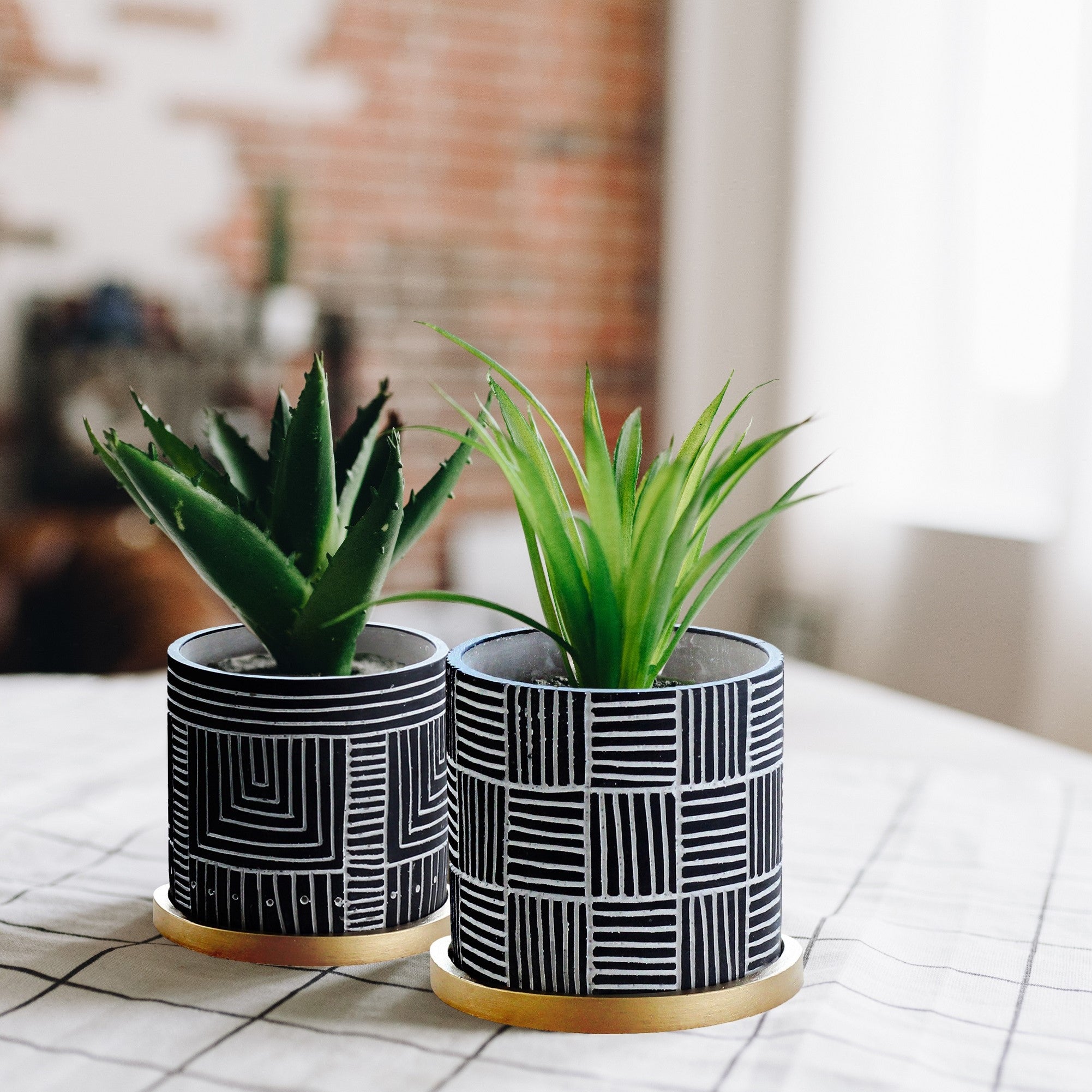 Cleo Black Etched Design with Gold Saucers - Plant Pots - Set 2