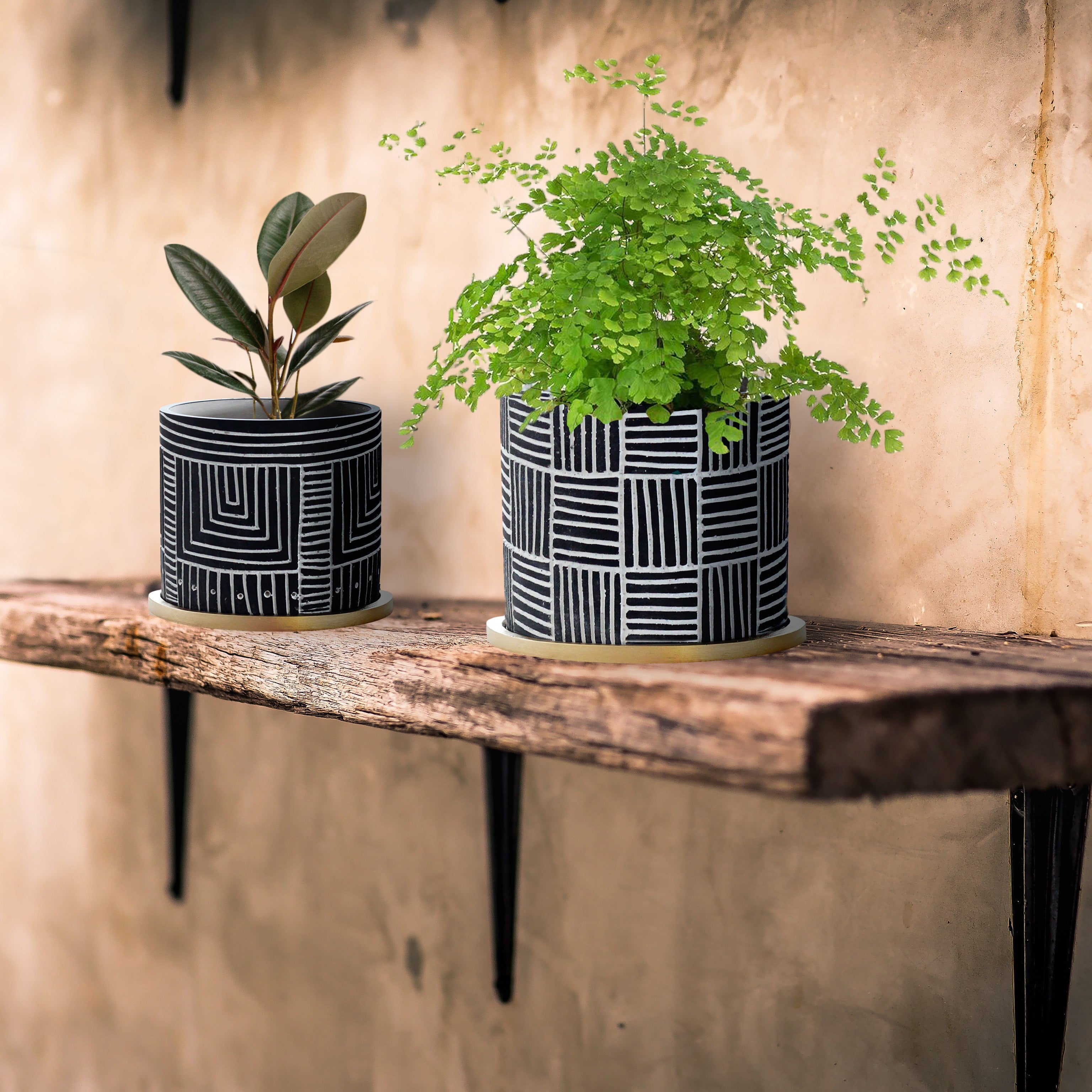 Cleo Black Etched Design with Gold Saucers - Plant Pots - Set 2