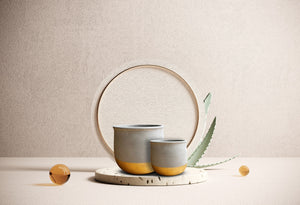 Gold Dip Ceramic Plant Pots - Set 2