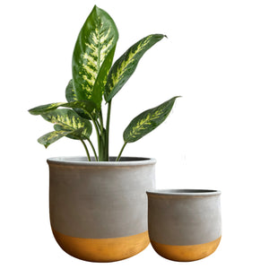 Gold Dip Ceramic Plant Pots - Set 2