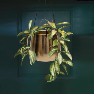 Marrakesh Gold Hanging Pot Set 2 - 10cm