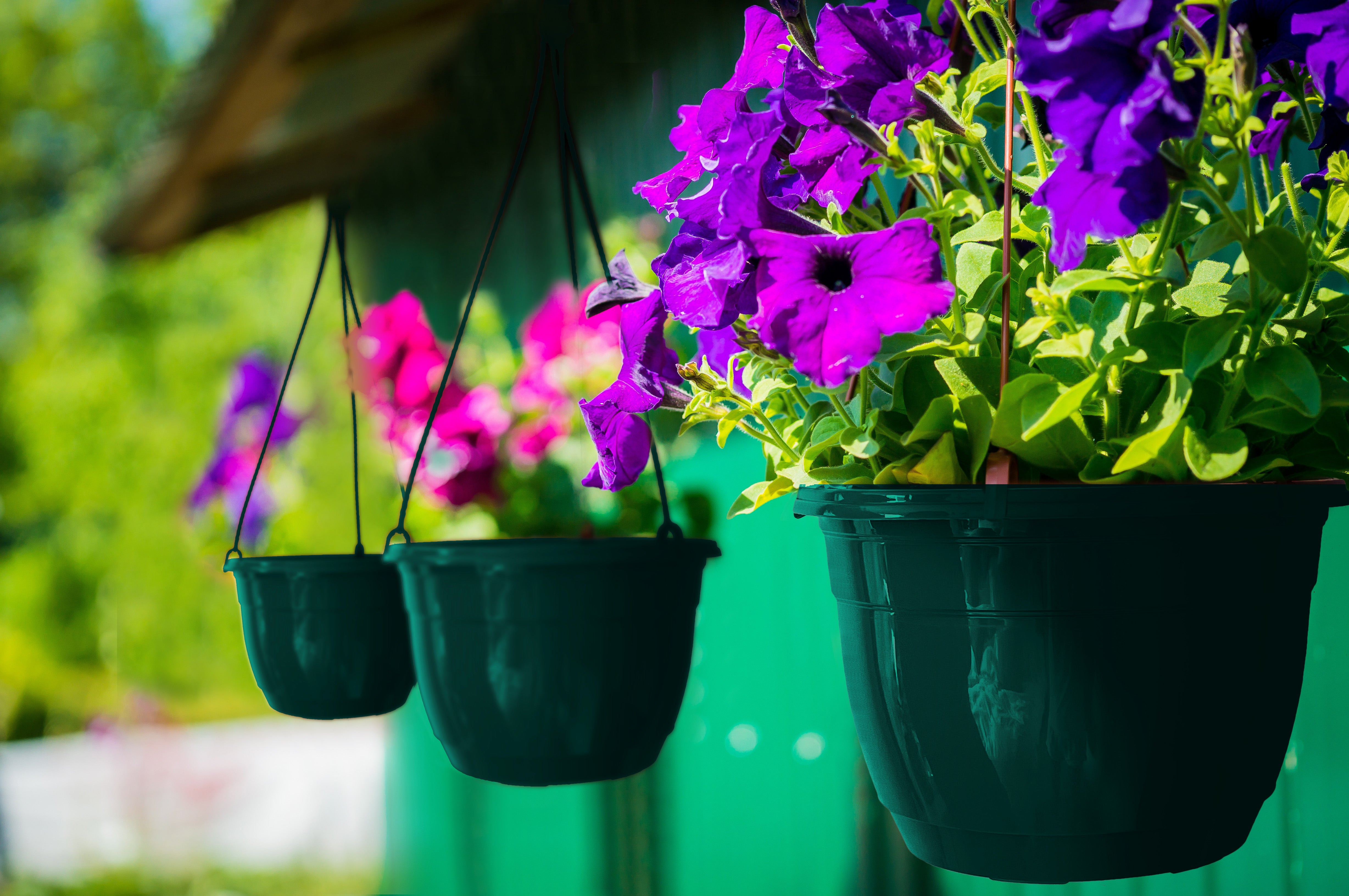 20cm Hanging Plant Pots - Dark Green - Set 3