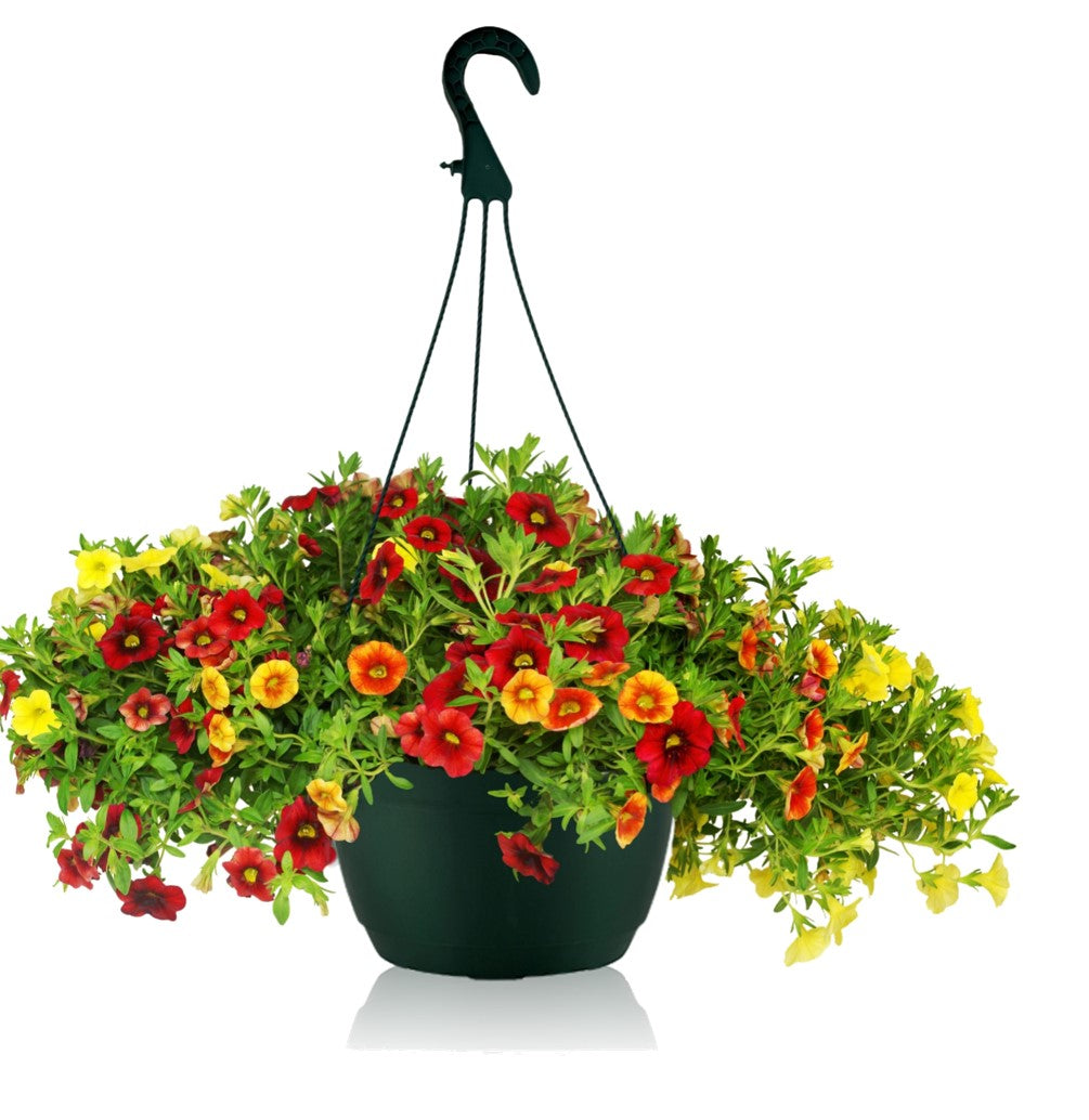 20cm Hanging Plant Pots - Dark Green - Set 3