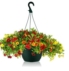 20cm Hanging Plant Pots - Dark Green - Set 3