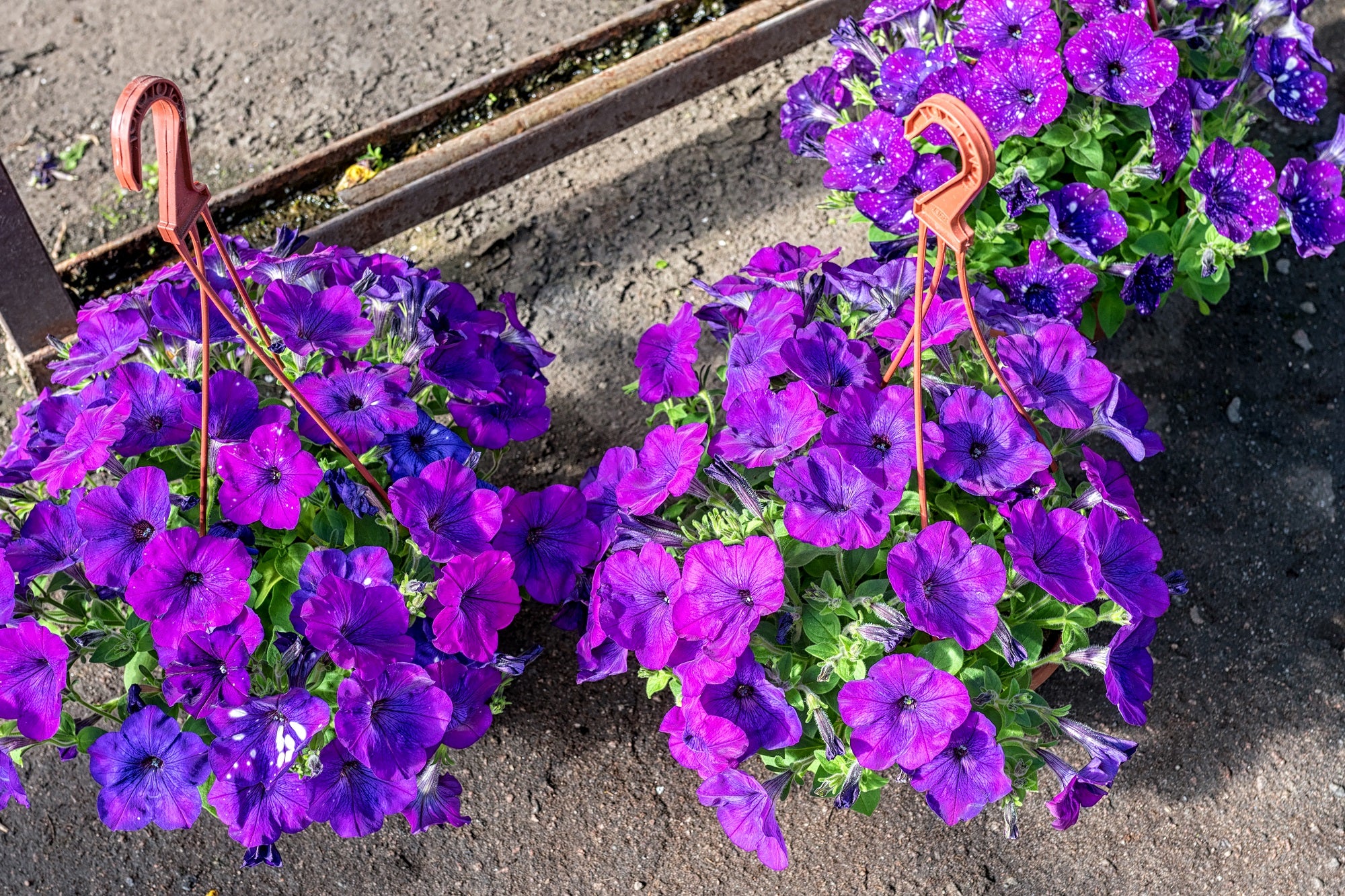 25cm Hanging Plant Pots - Terracotta - Set 3