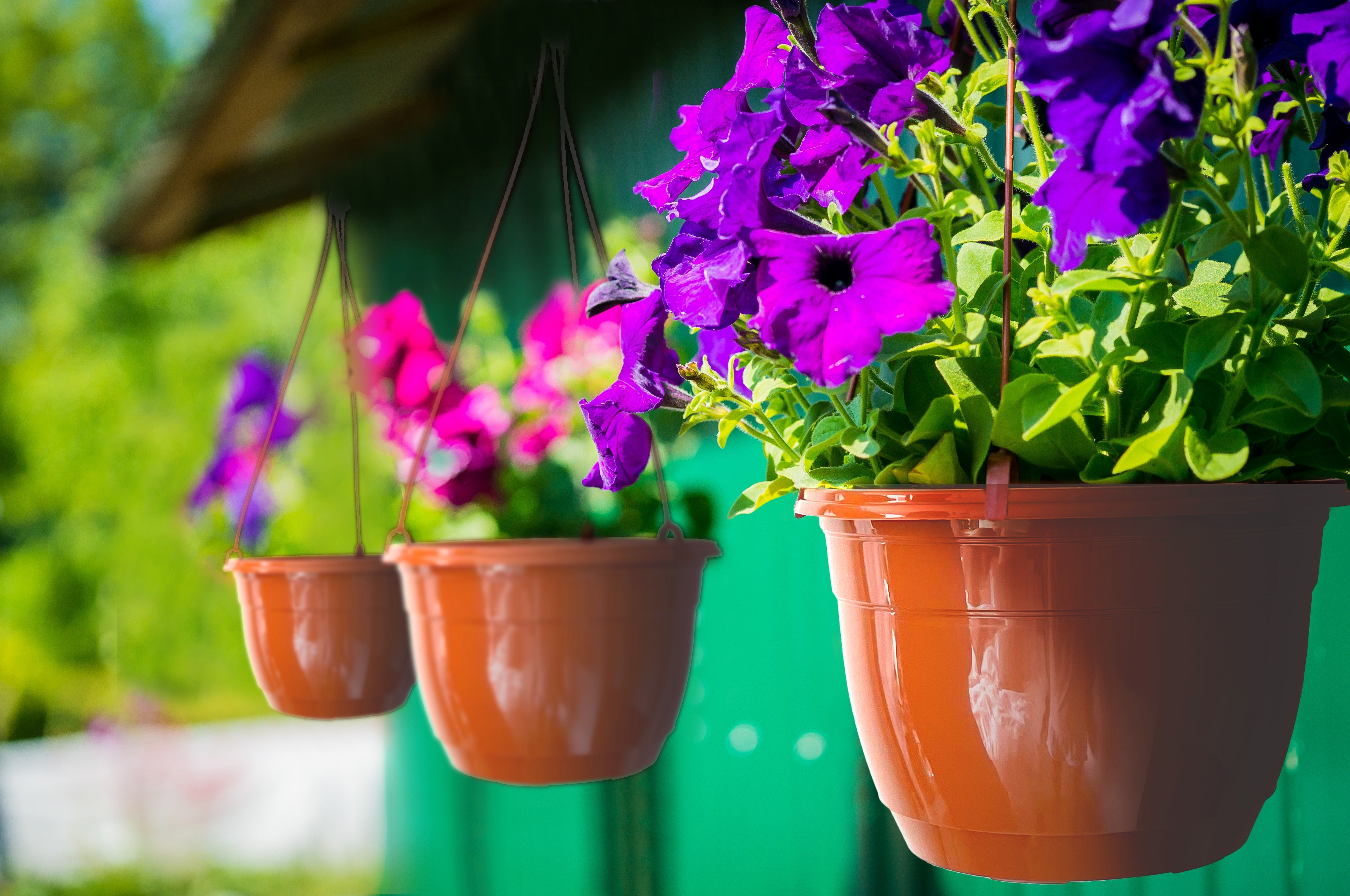 25cm Hanging Plant Pots - Terracotta - Set 3