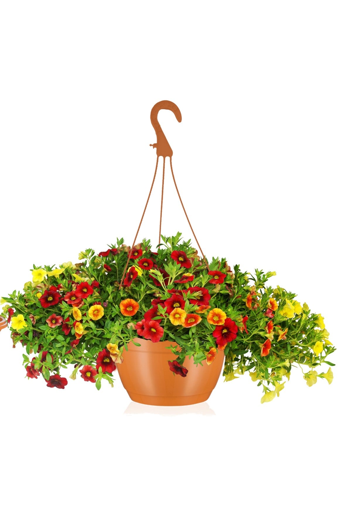 25cm Hanging Plant Pots - Terracotta - Set 3