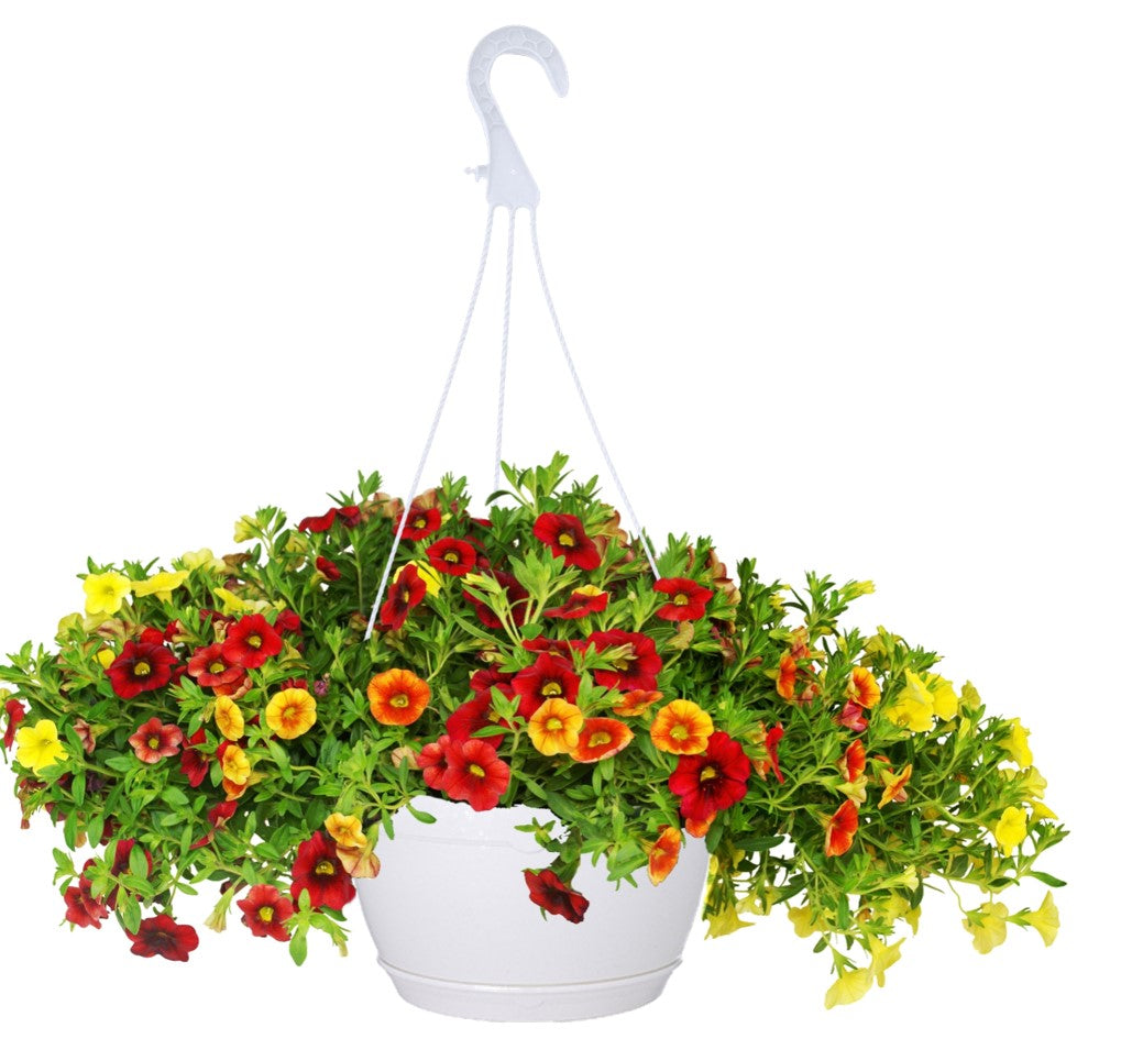 25cm Hanging Plant Pots - White - Set 3