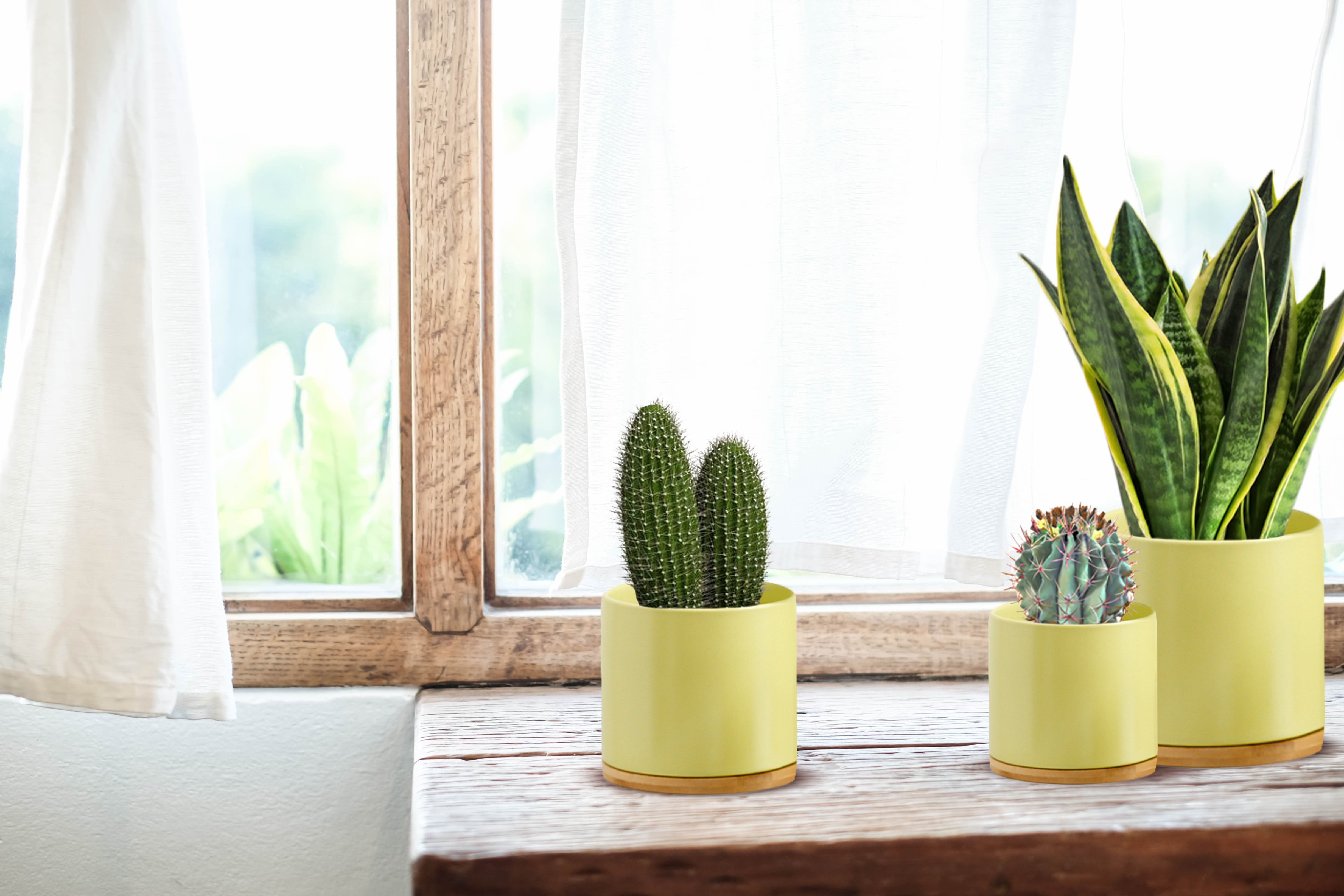 Green Ceramic Plant Pots